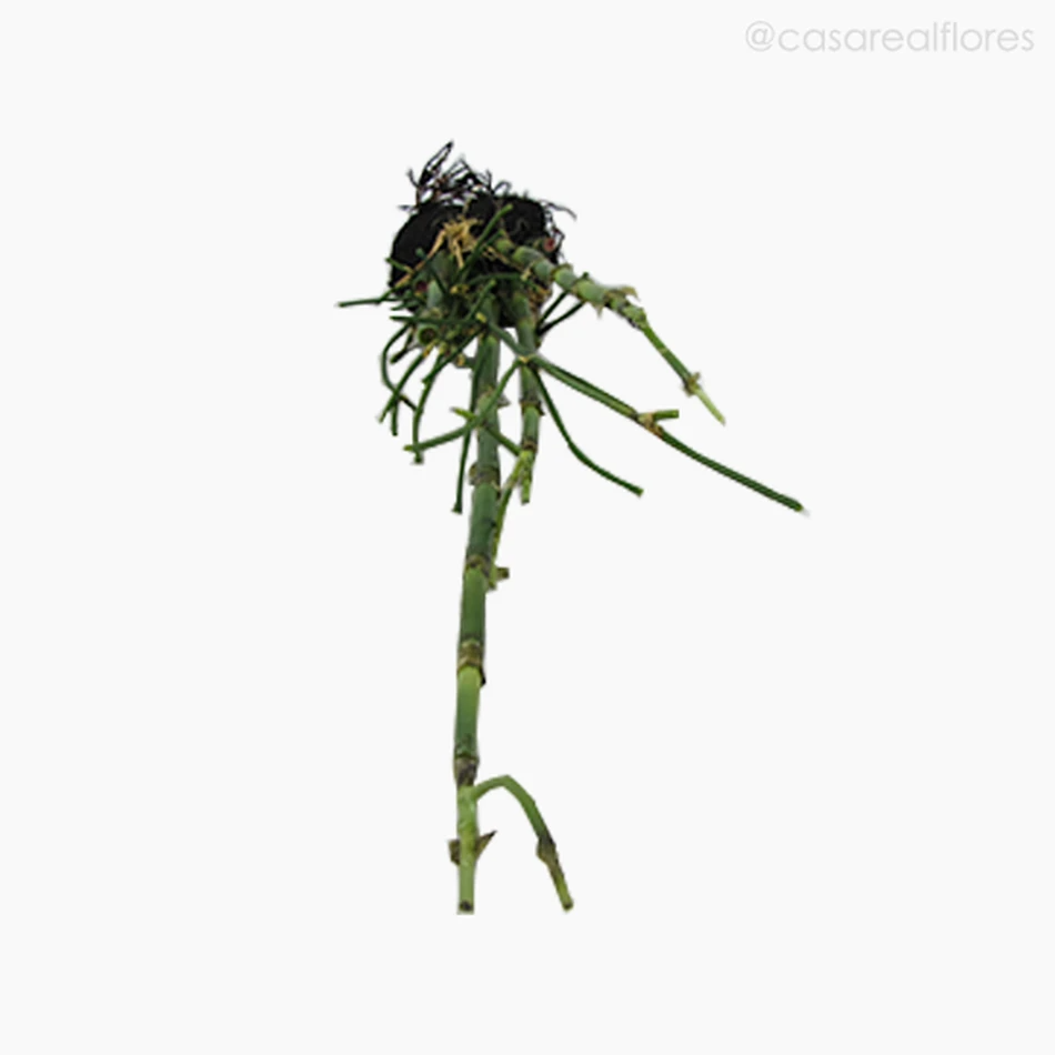 Bambu com Raízes Artificial - Verde (7845)