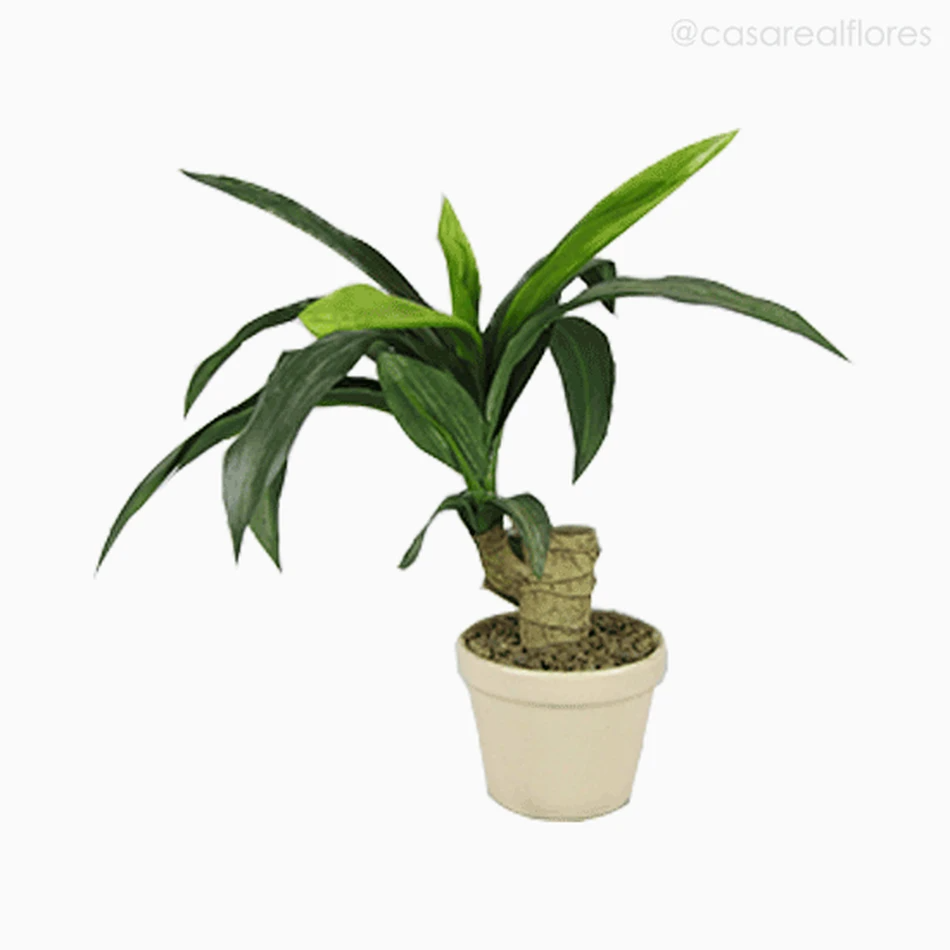 Mini Nolina Artificial - Verde (7762)
