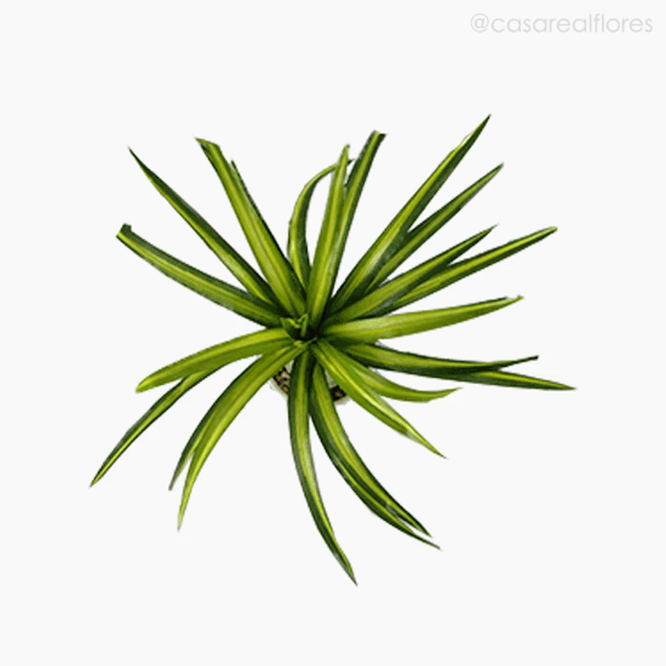 Mini Dracena Artificial - Verde (7763)