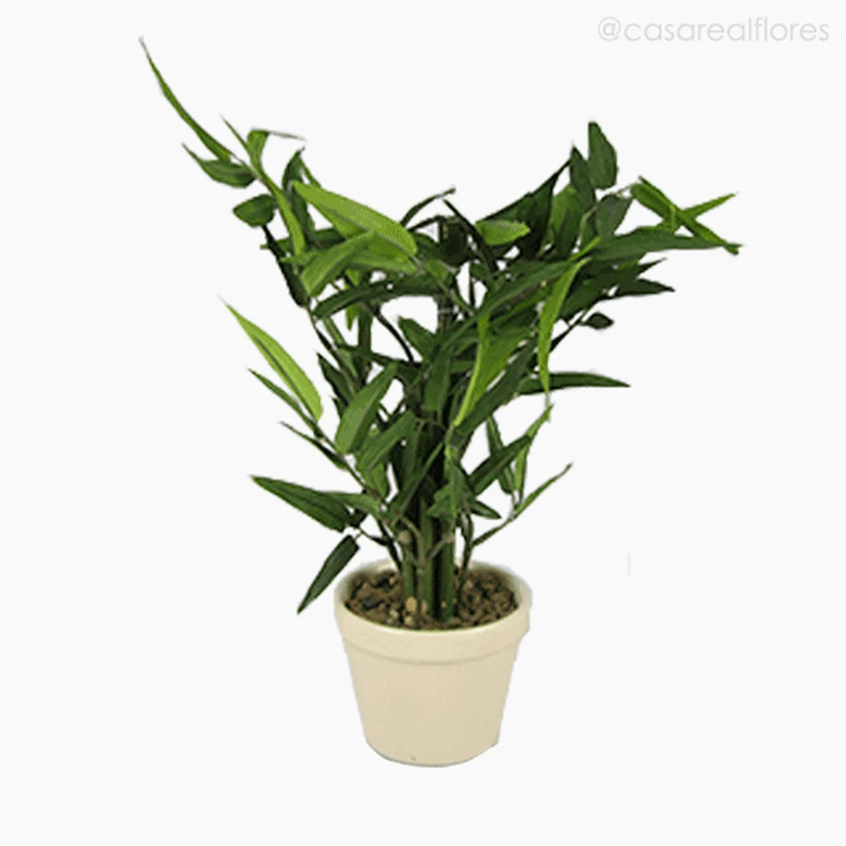Mini Bambu Artificial - Verde (7760)