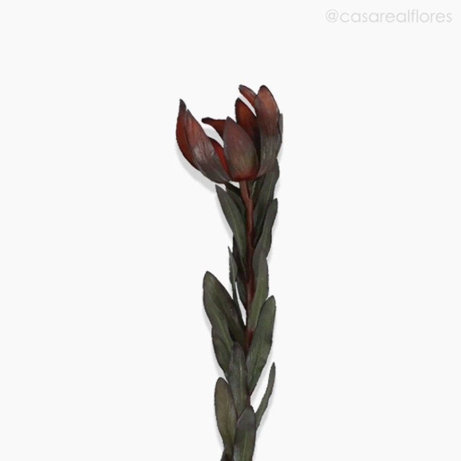 Protea Artificial - Vermelho Escuro (7801)