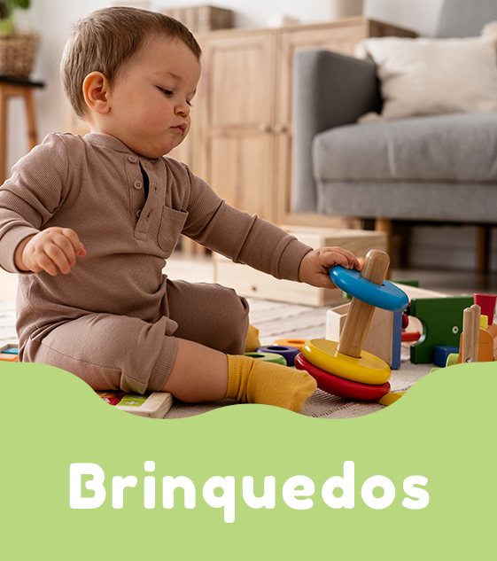 Categoria Brinquedos