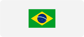 [guia de raça] - vira-lata - bandeira - origem]