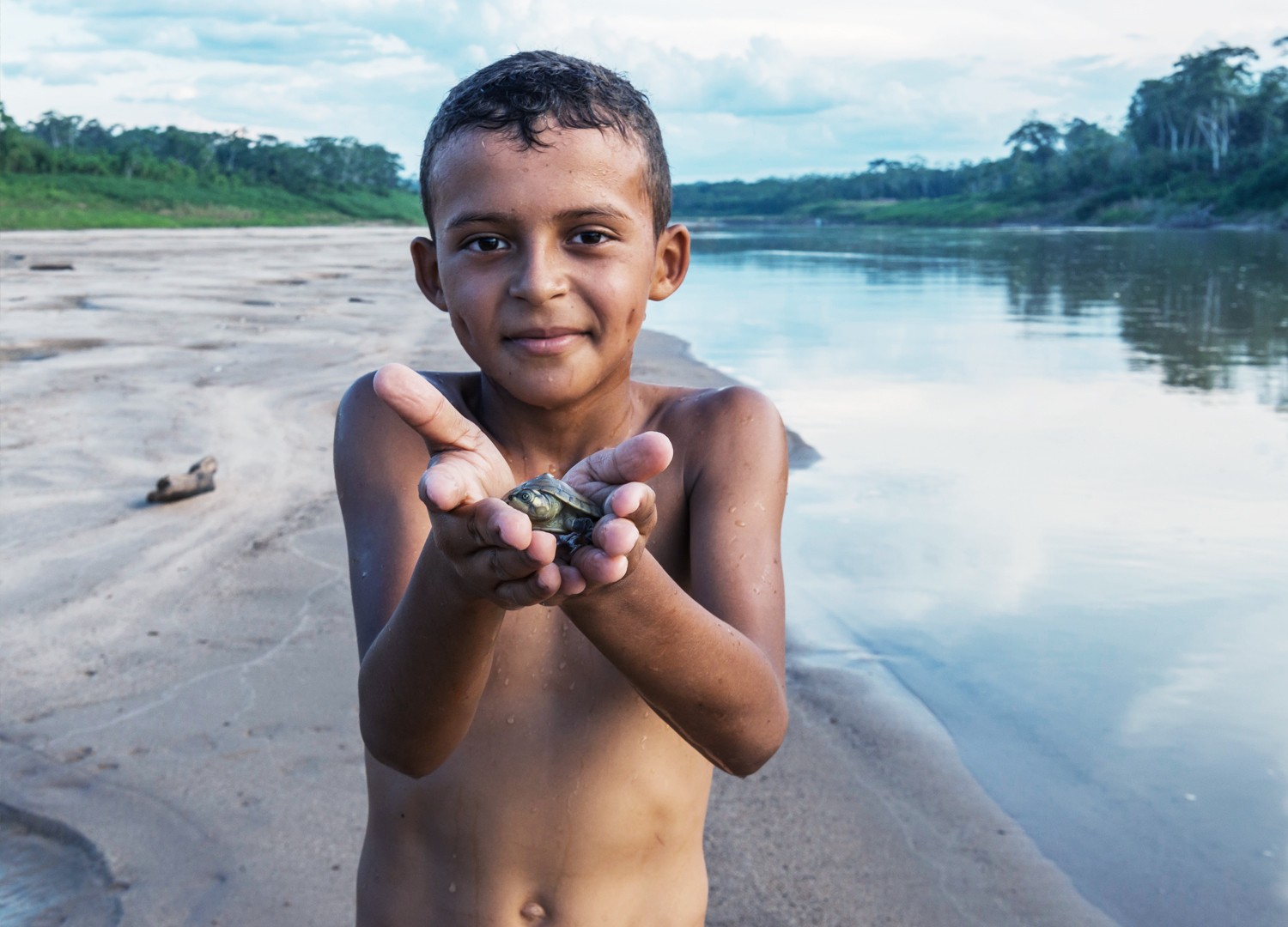 [1% para a Amazônia] Seção da página