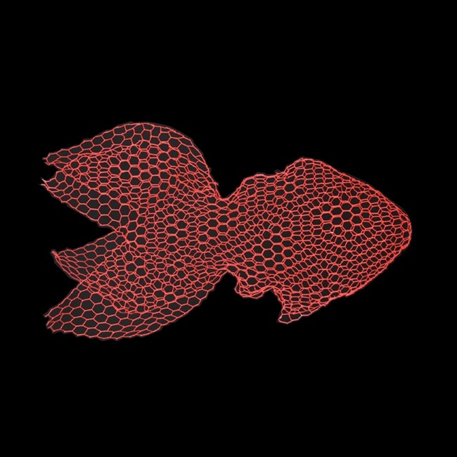 Fish Sculpture Small cor Vermelho Fluorescente | Magis