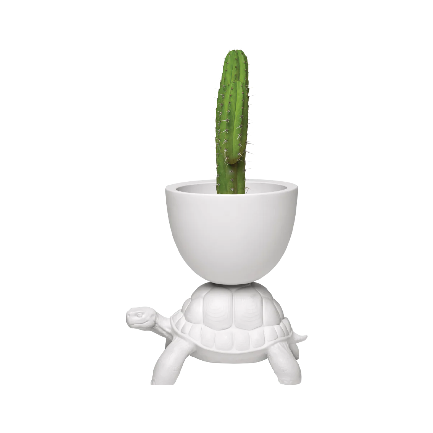  Turtle Carry Planter and Champagne  | Qeeboo