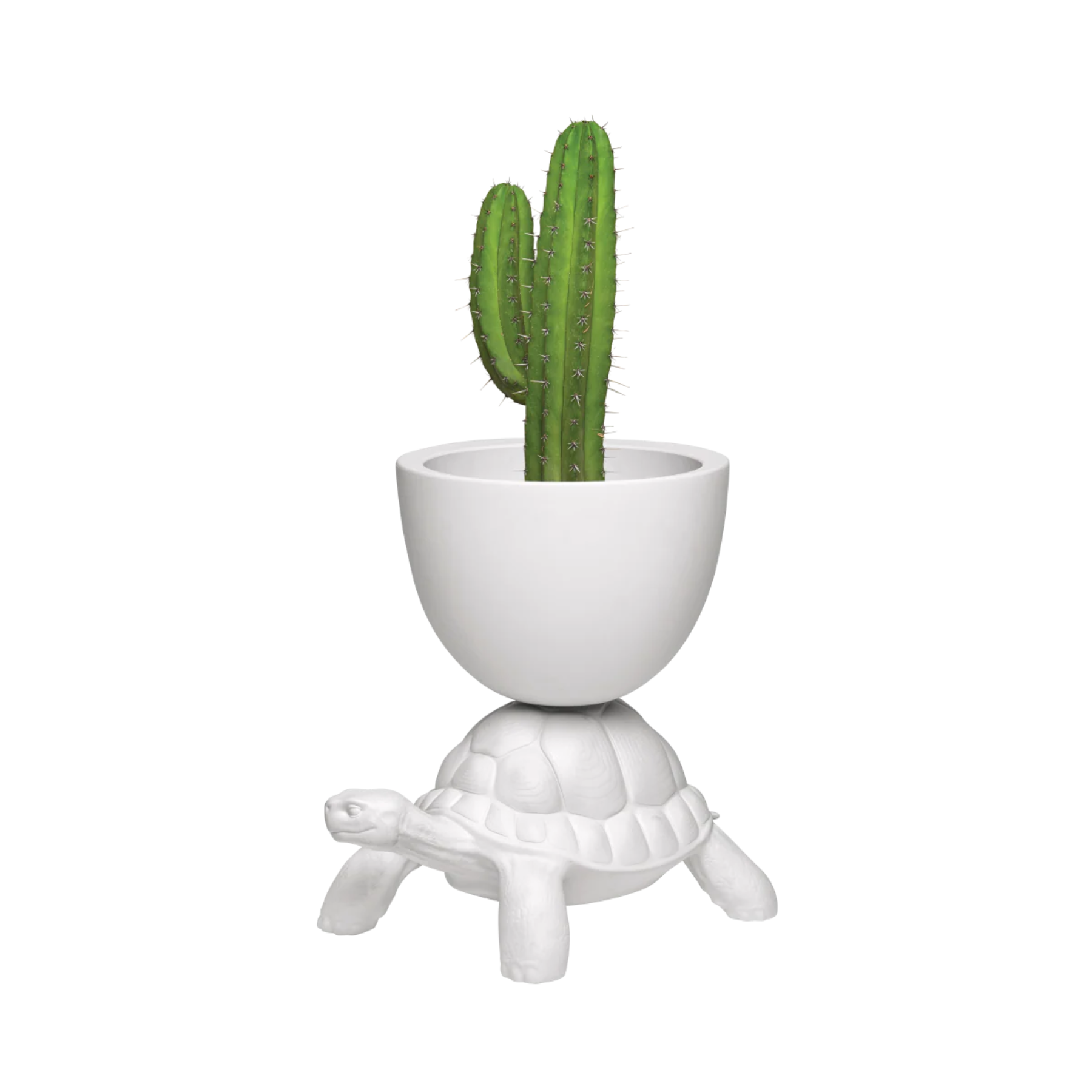  Turtle Carry Planter and Champagne  | Qeeboo