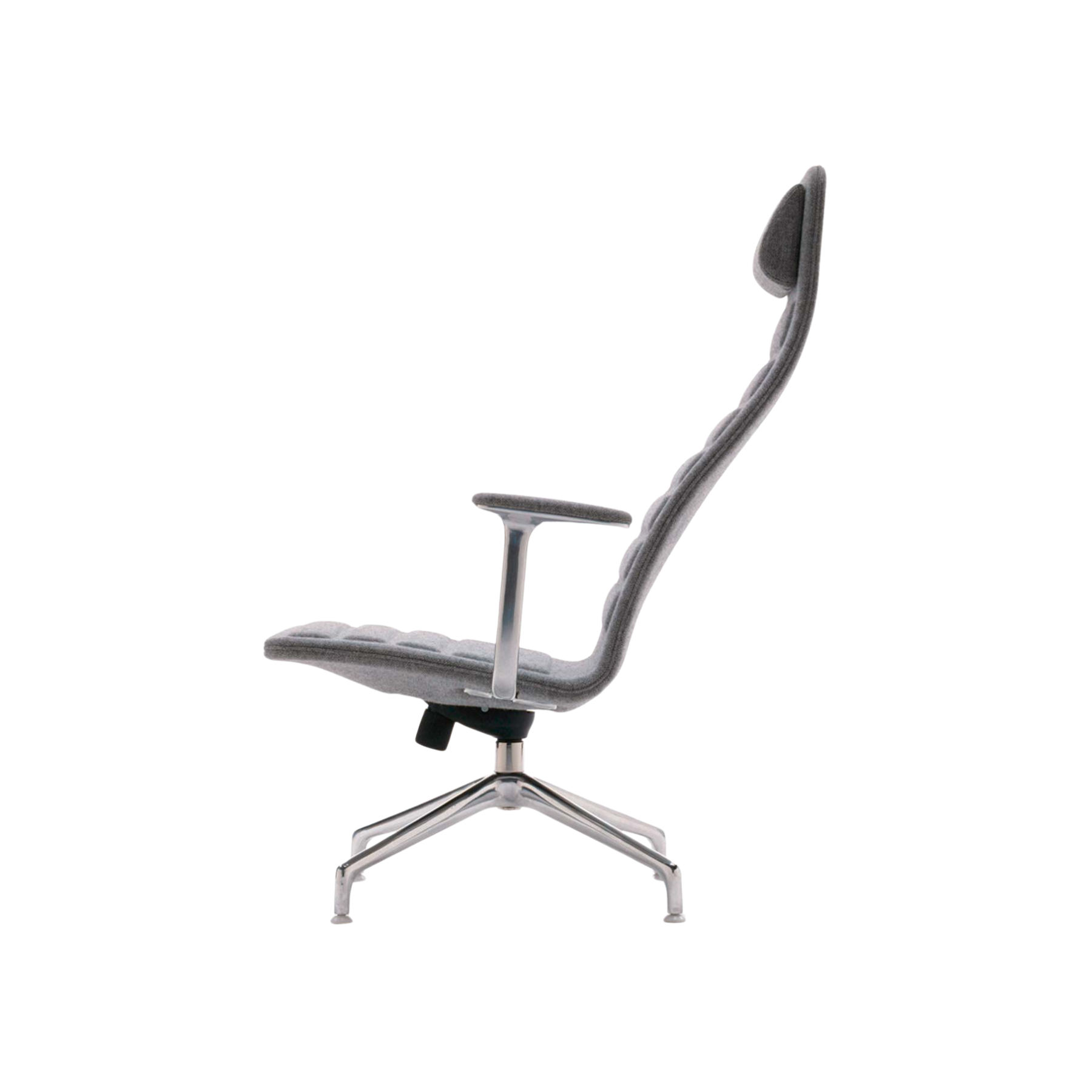 Cadeira Lotus | Cappellini