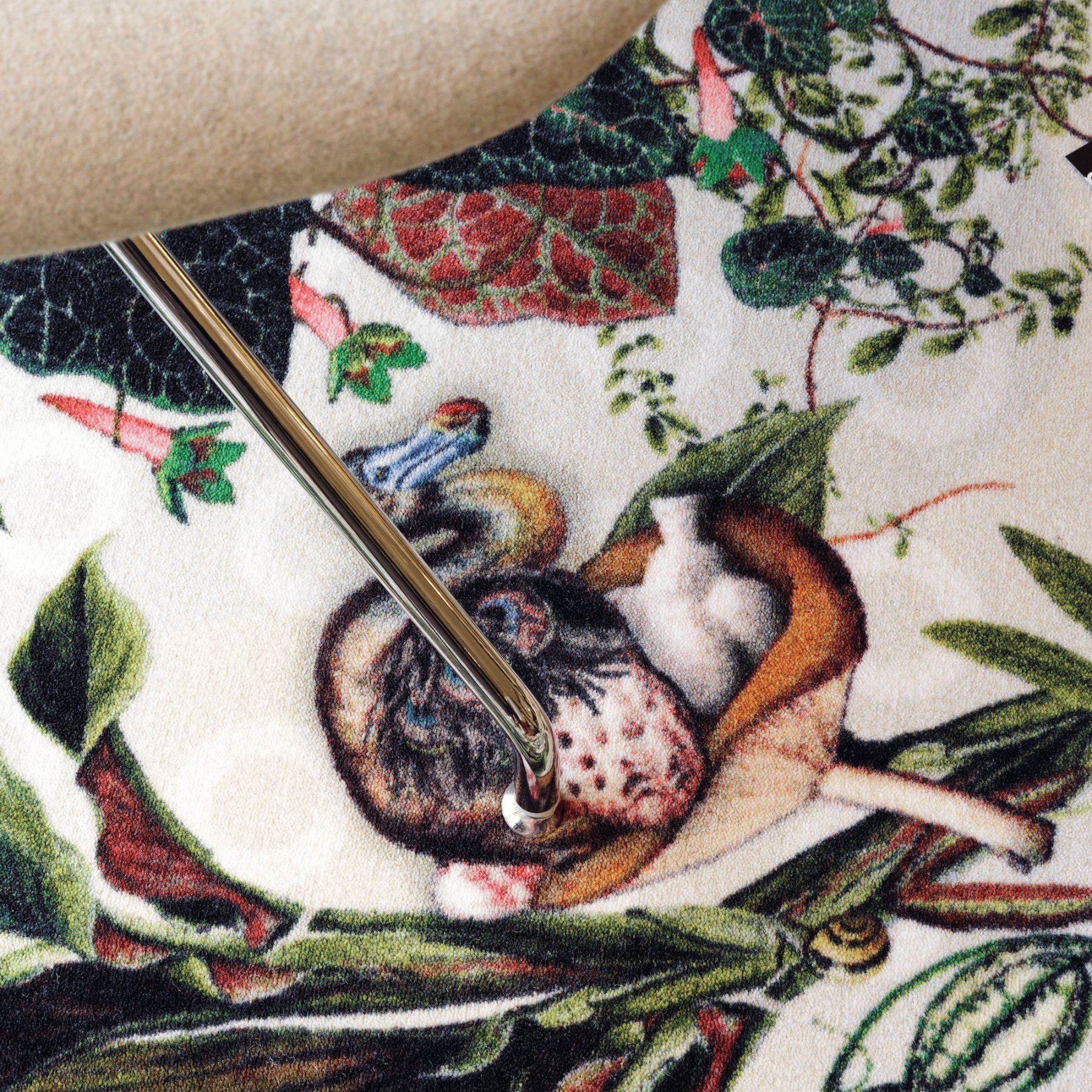 Tapete Menagerie Of Extinct Animals | Moooi 