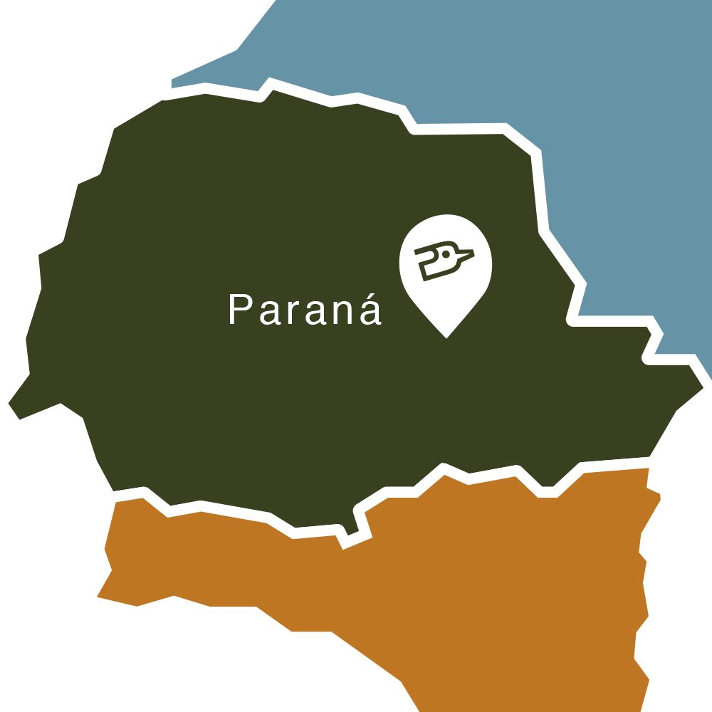 [LOJAS] Paraná