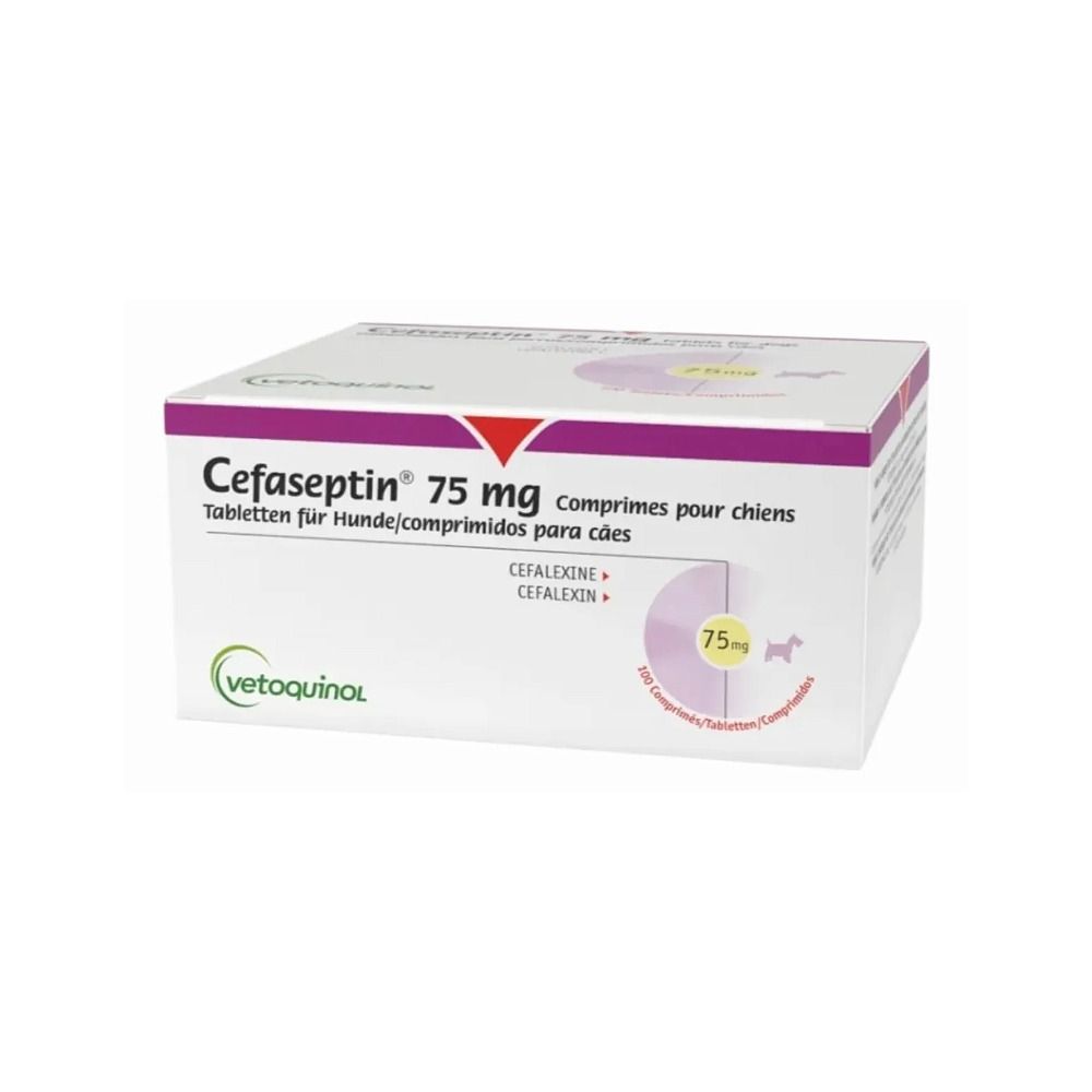 https://cdn.vnda.com.br/petfarma/2025/08/28/10_35_40_301_8c5ae168fcc8703f53f6f5b5d3f215c4.jpeg?v=1756388140