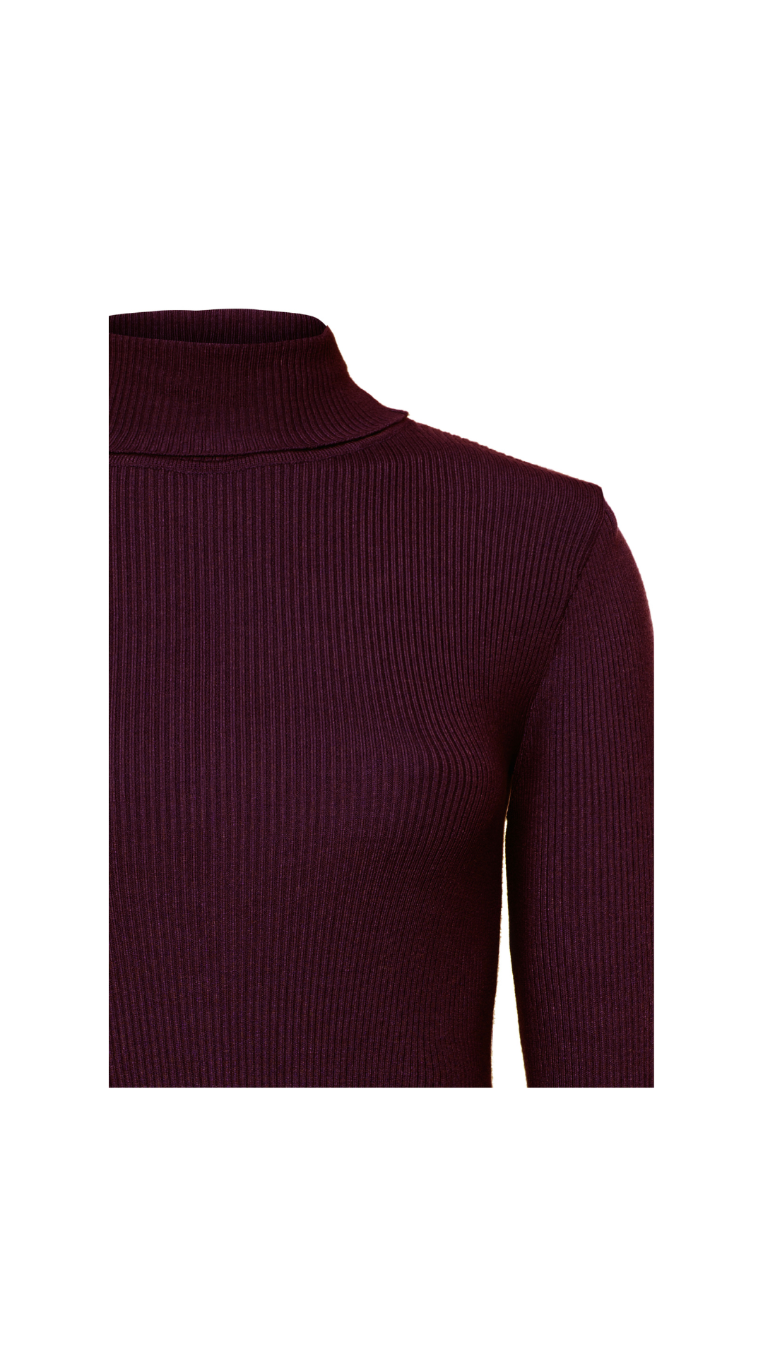 Blusa gola alta Poliana -  Vino