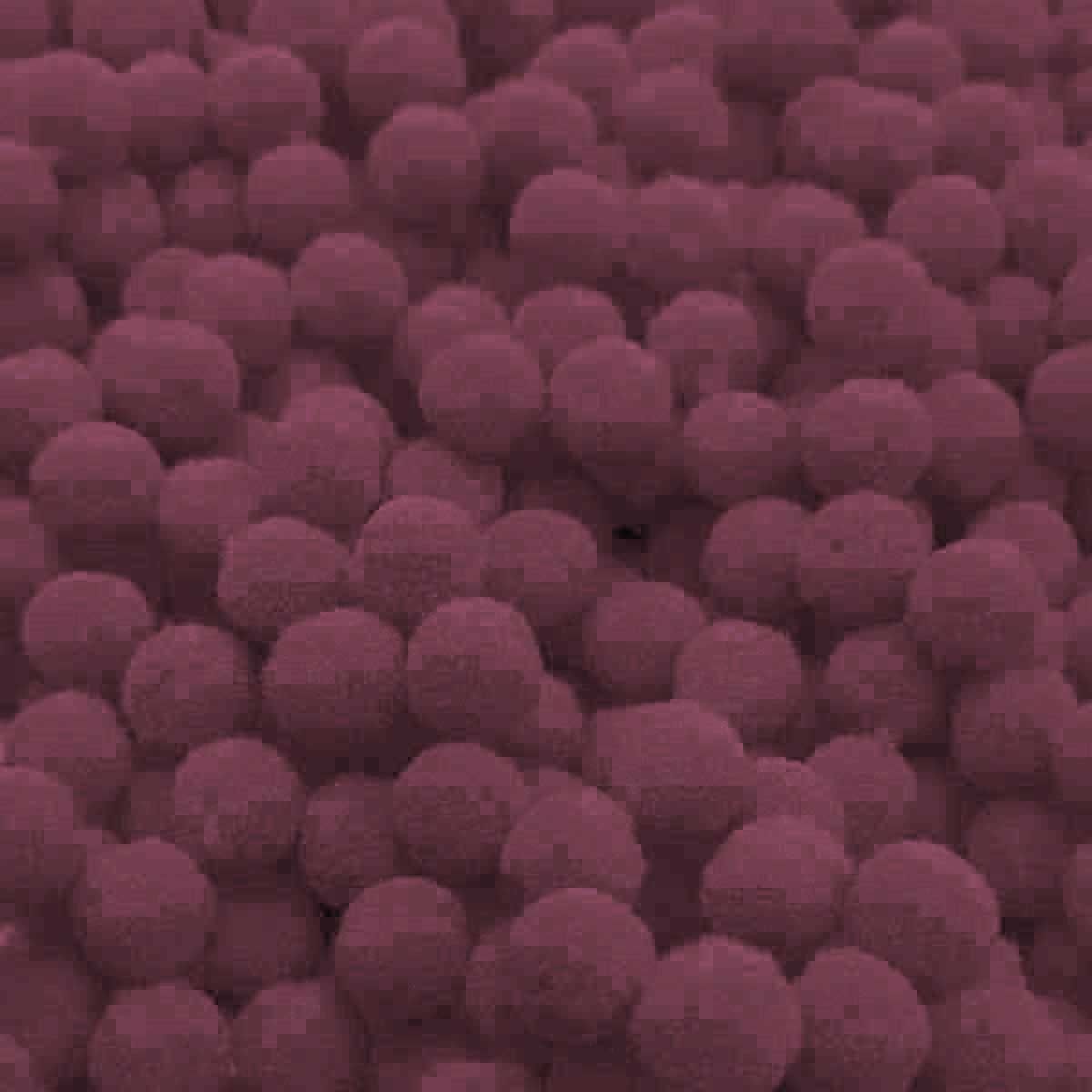 10001334