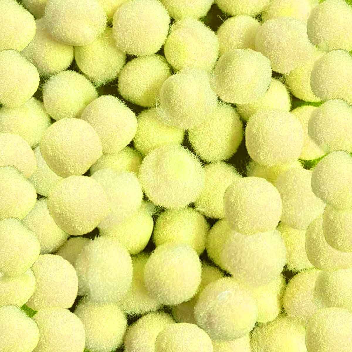 6339