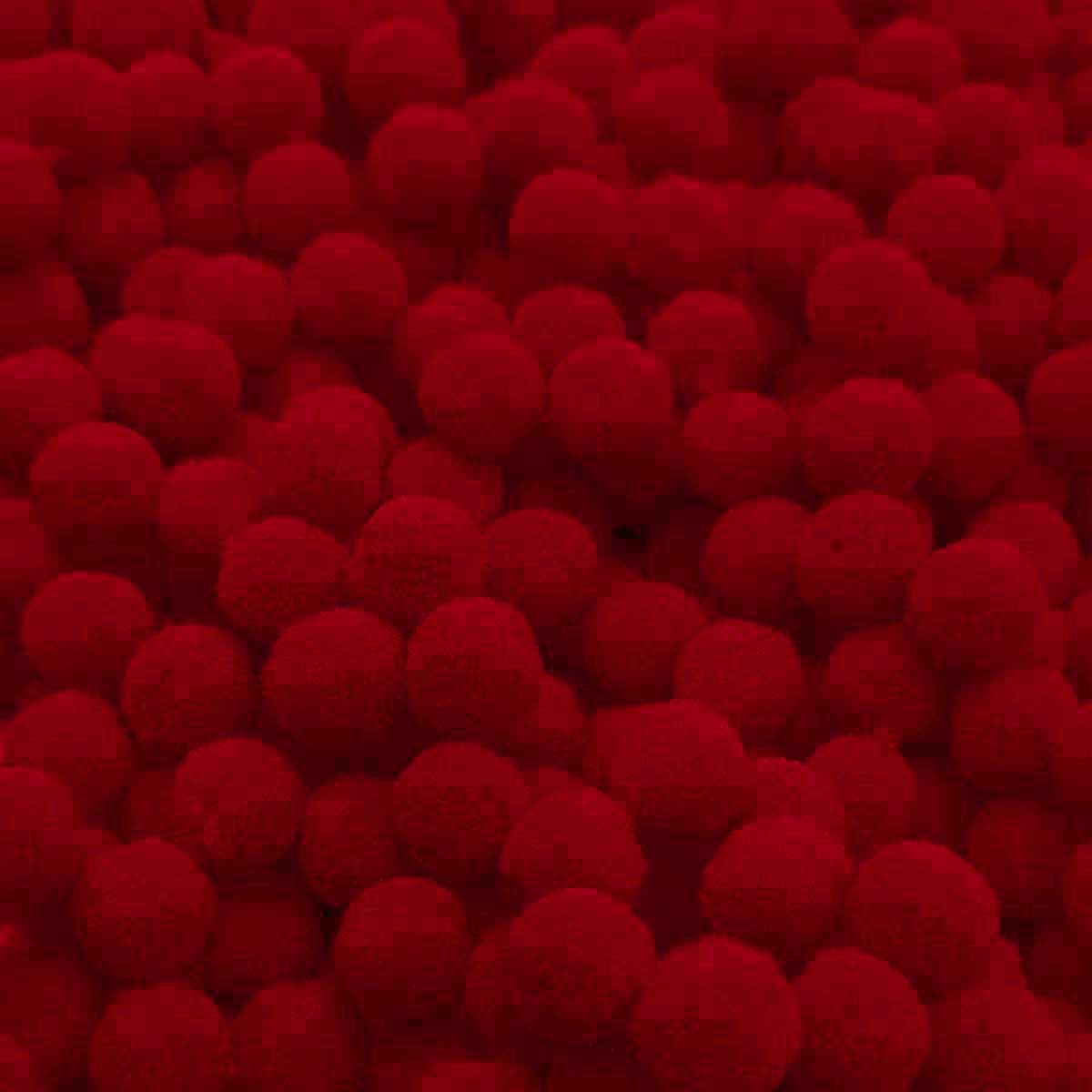 10001316