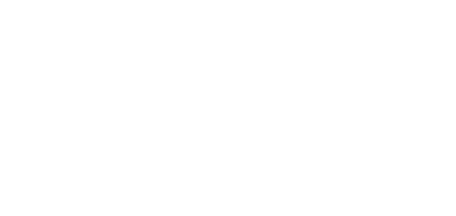 Logo Brandz