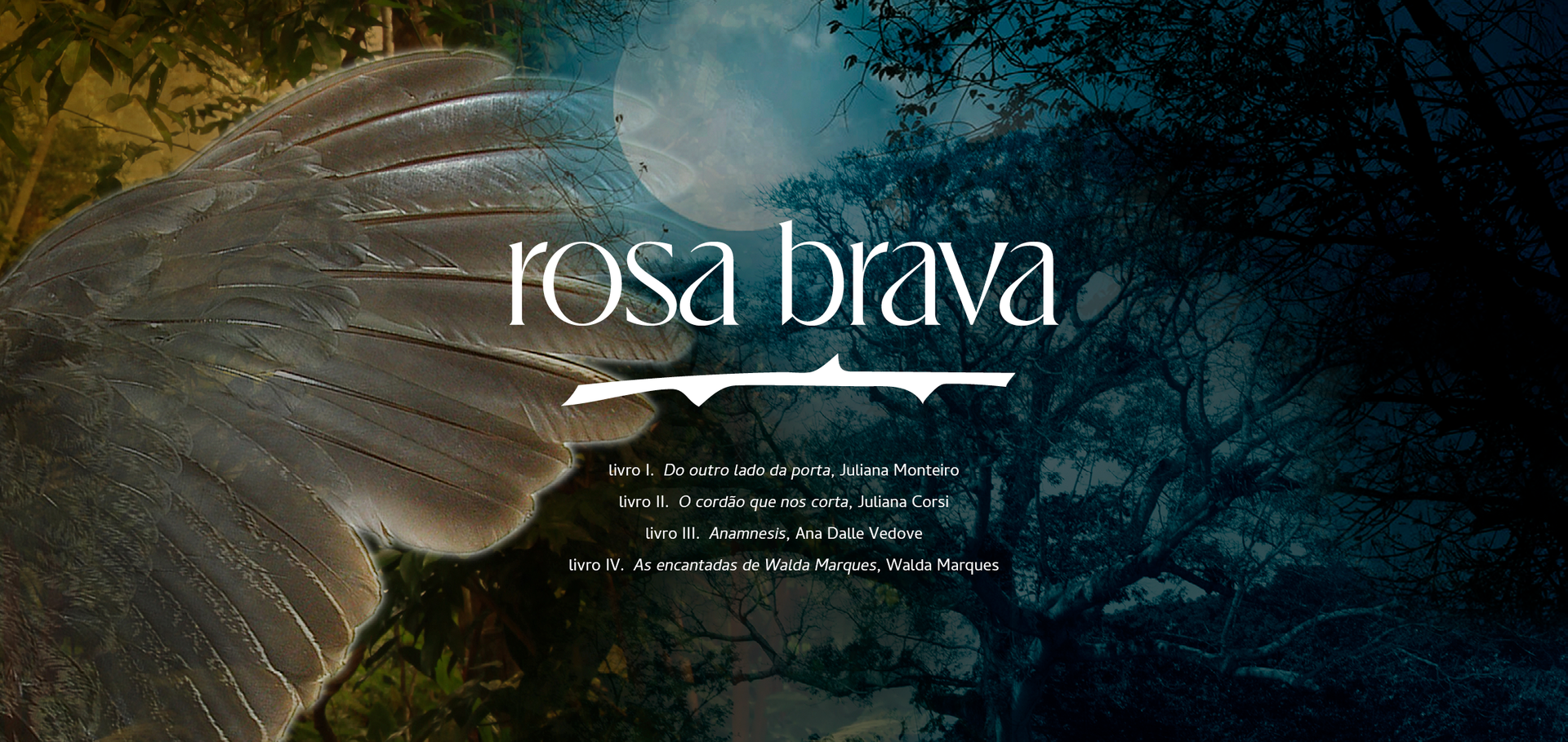 [home] Banner secundário