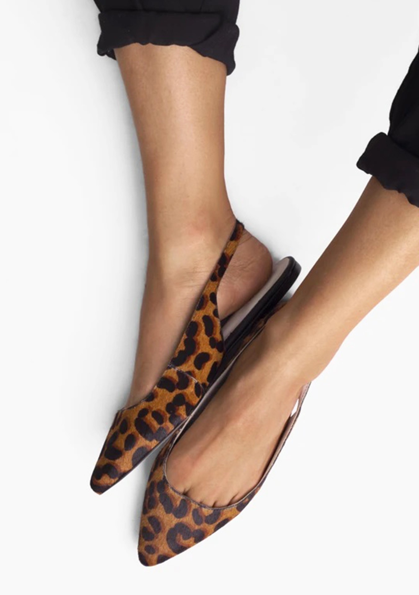 Animal Print Pointed Toe Ballerinas – Vinci Shoes
