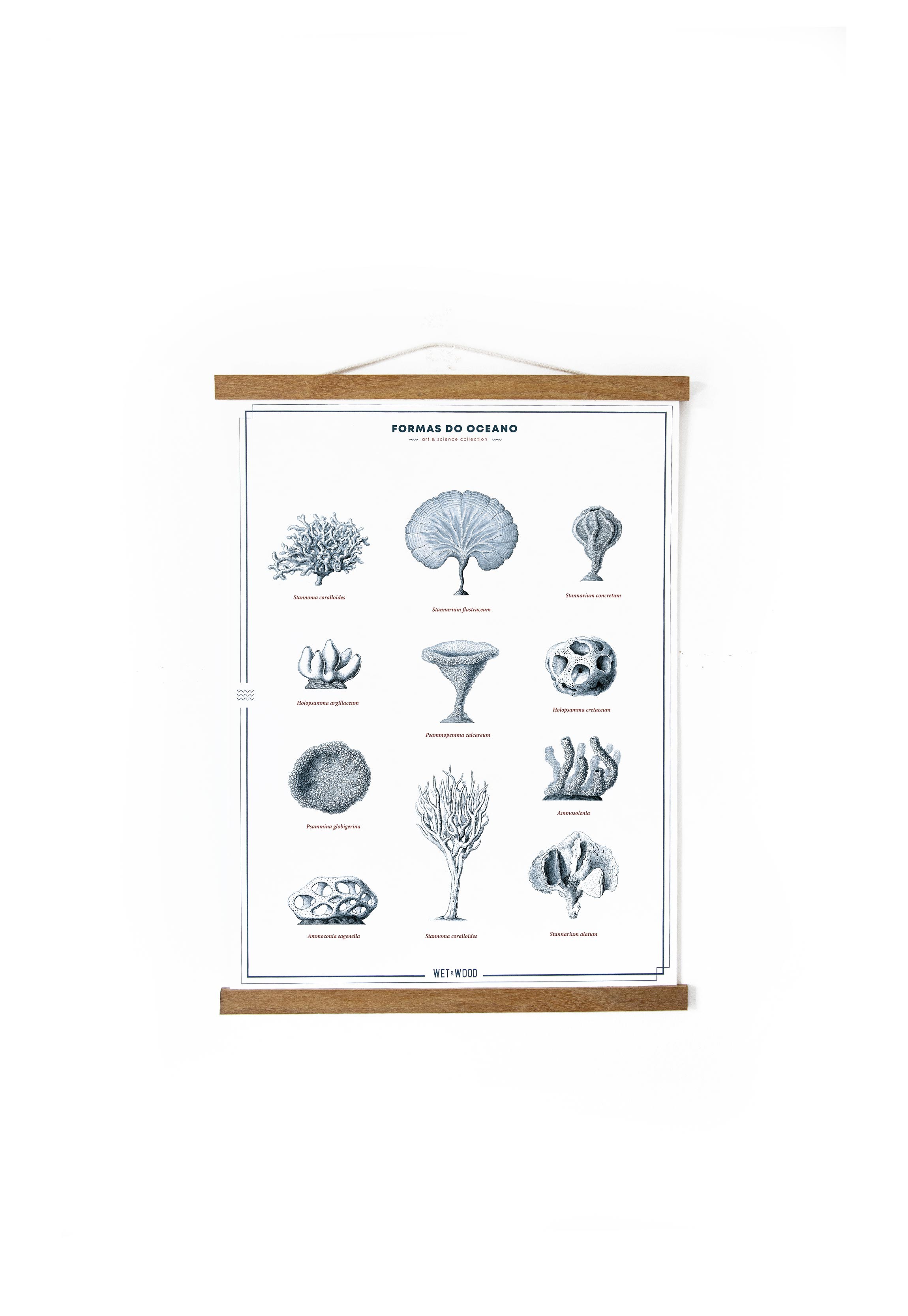 Poster CORAL