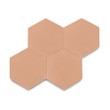 Ladrilho Hidráulico Ladrilar Hexagonal Terracota Claro 20x23