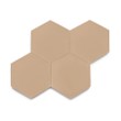 Ladrilho Hidráulico Ladrilar Hexagonal Nude 20x23