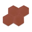 Ladrilho Hidráulico Ladrilar Hexagonal Vermelho 20x23