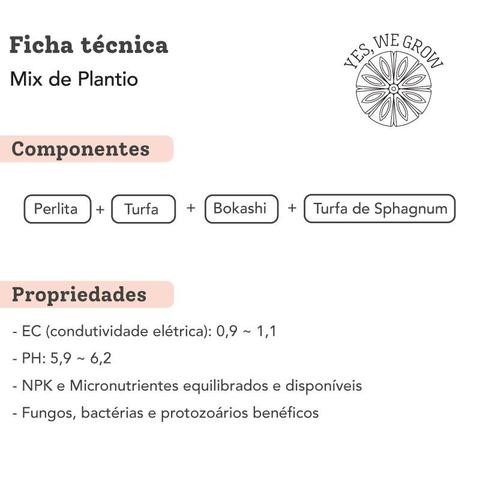 Guia de Cultivo Completo: Melissa » Yes We Grow